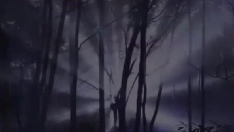 小猫钓鱼正版下载中文版